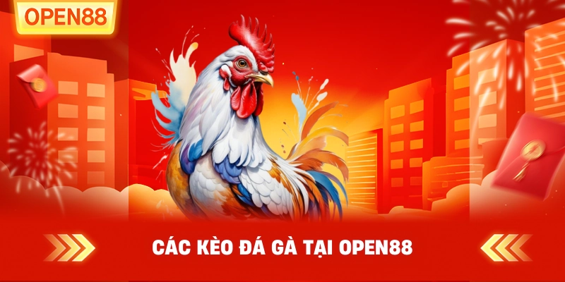 Các kèo đá gà tại OPEN88